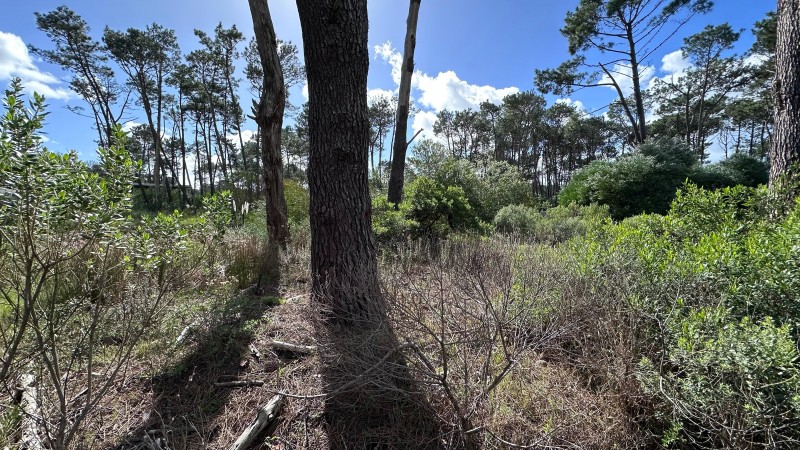 Lote en venta en La Reserva de Montoya